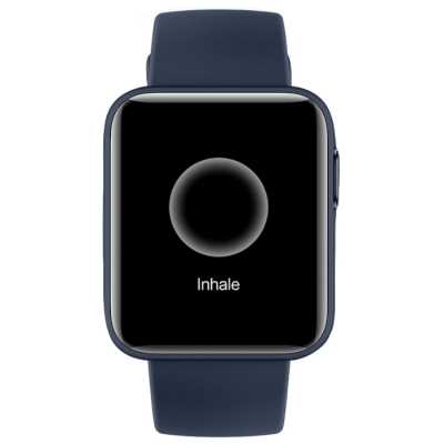 

Xiaomi Mi Watch Lite Navy Blue BHR4705RU