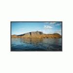 ЖК панель NEC MultiSync LCD4620