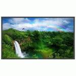 ЖК панель NEC MultiSync P461